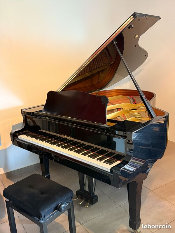 Piano à queue 2